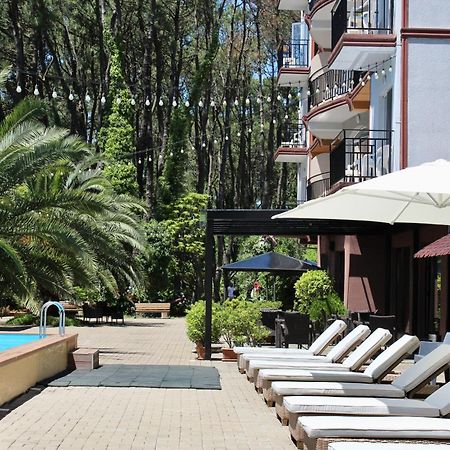 Iveria Elli Hotel Shekhvetili Εξωτερικό φωτογραφία