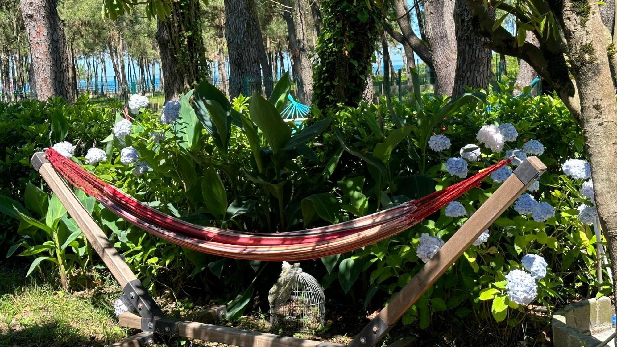 Iveria Elli Hotel Shekhvetili Εξωτερικό φωτογραφία