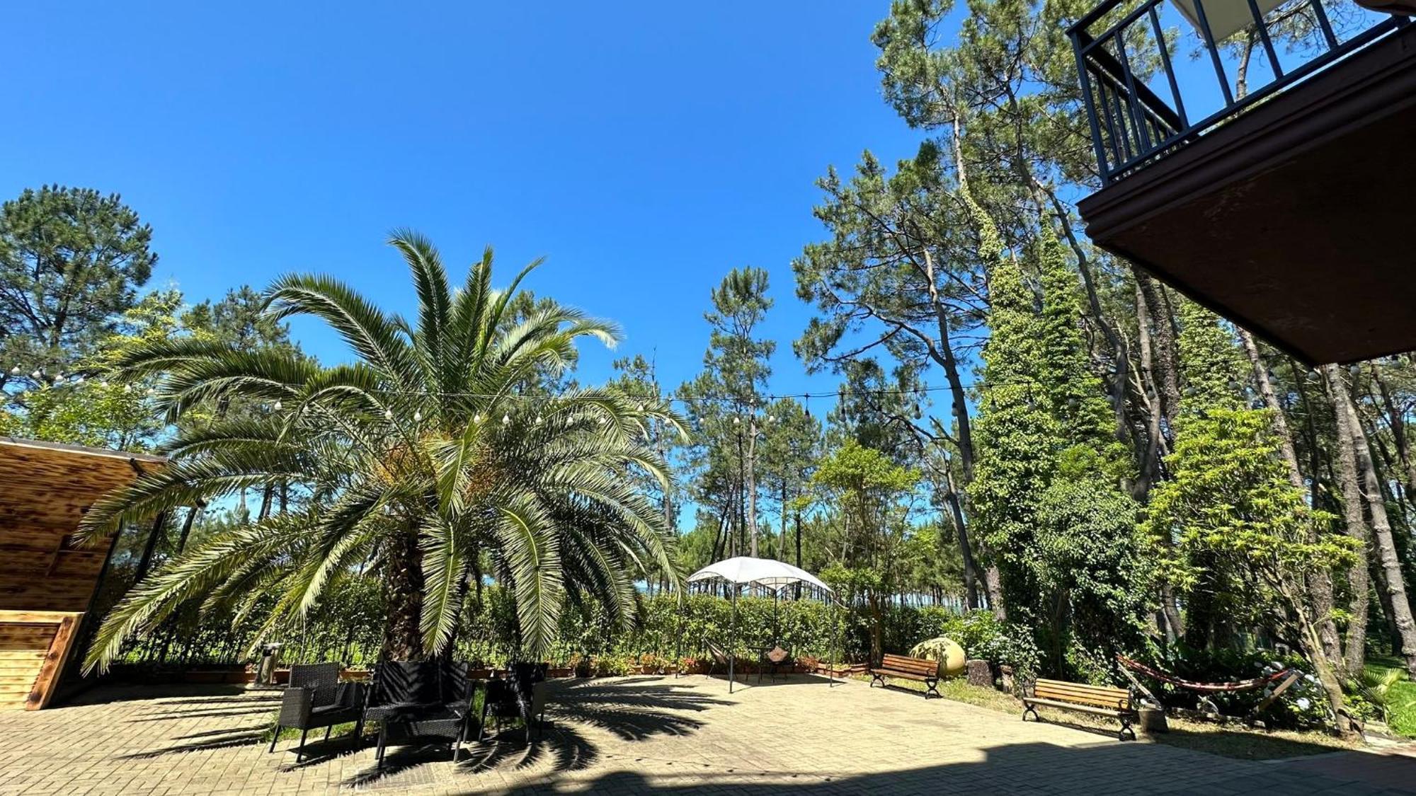 Iveria Elli Hotel Shekhvetili Εξωτερικό φωτογραφία
