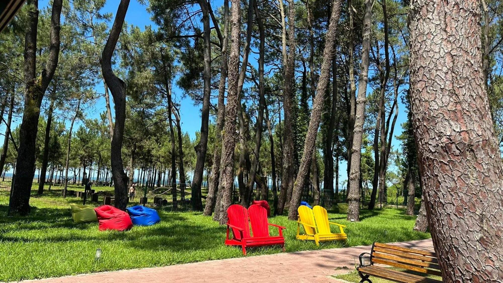 Iveria Elli Hotel Shekhvetili Εξωτερικό φωτογραφία