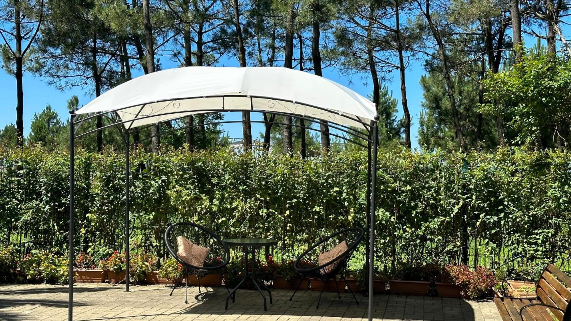 Iveria Elli Hotel Shekhvetili Εξωτερικό φωτογραφία